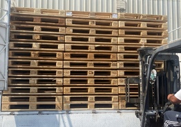 Euro Wooden Pallets